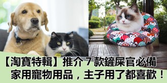 【淘寶特輯】推介７款鏟屎官必備實用，清潔，寵物用品，主子用了都喜歡！