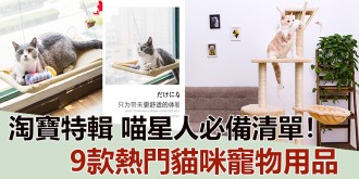 【淘寶特輯】喵星人必備清單，9款熱門貓咪寵物用品！