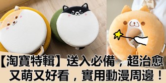 【淘寶特輯】送人必備，又萌又好看，超治癒，實用動漫周邊！