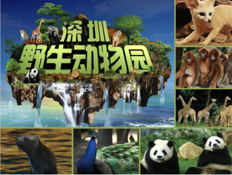 【深圳野生動物園旅遊指南】開放時間/ 港澳居民優惠門票 / 交通方式 / 附近酒店 / 套票
